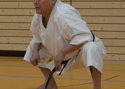 Namiki 2016