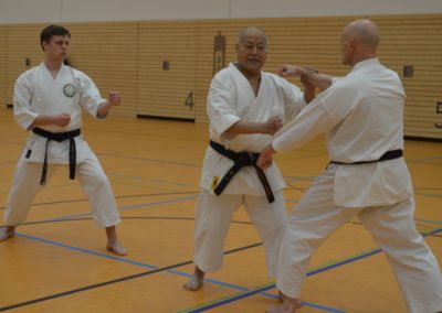 Namiki 2016