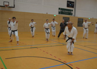 Namiki 2016