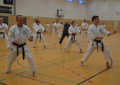 Namiki 2016