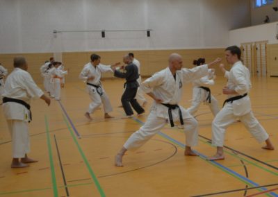 Namiki 2016